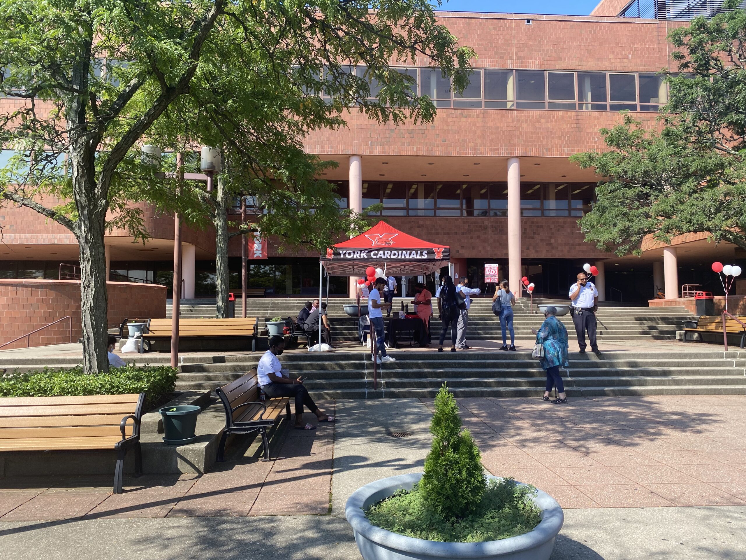queens college fall 2023 courses Cardinals Are Back After a Year and a HalfLong Retreat at Home