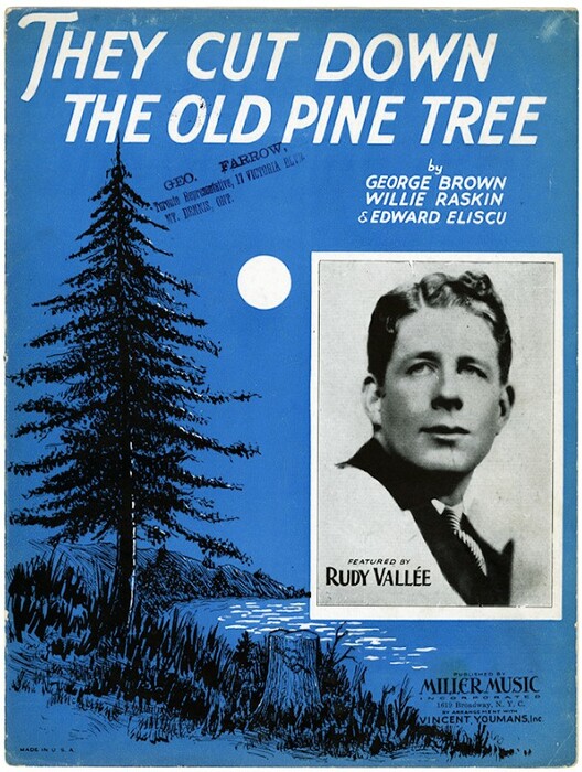 They cut down the old pine tree