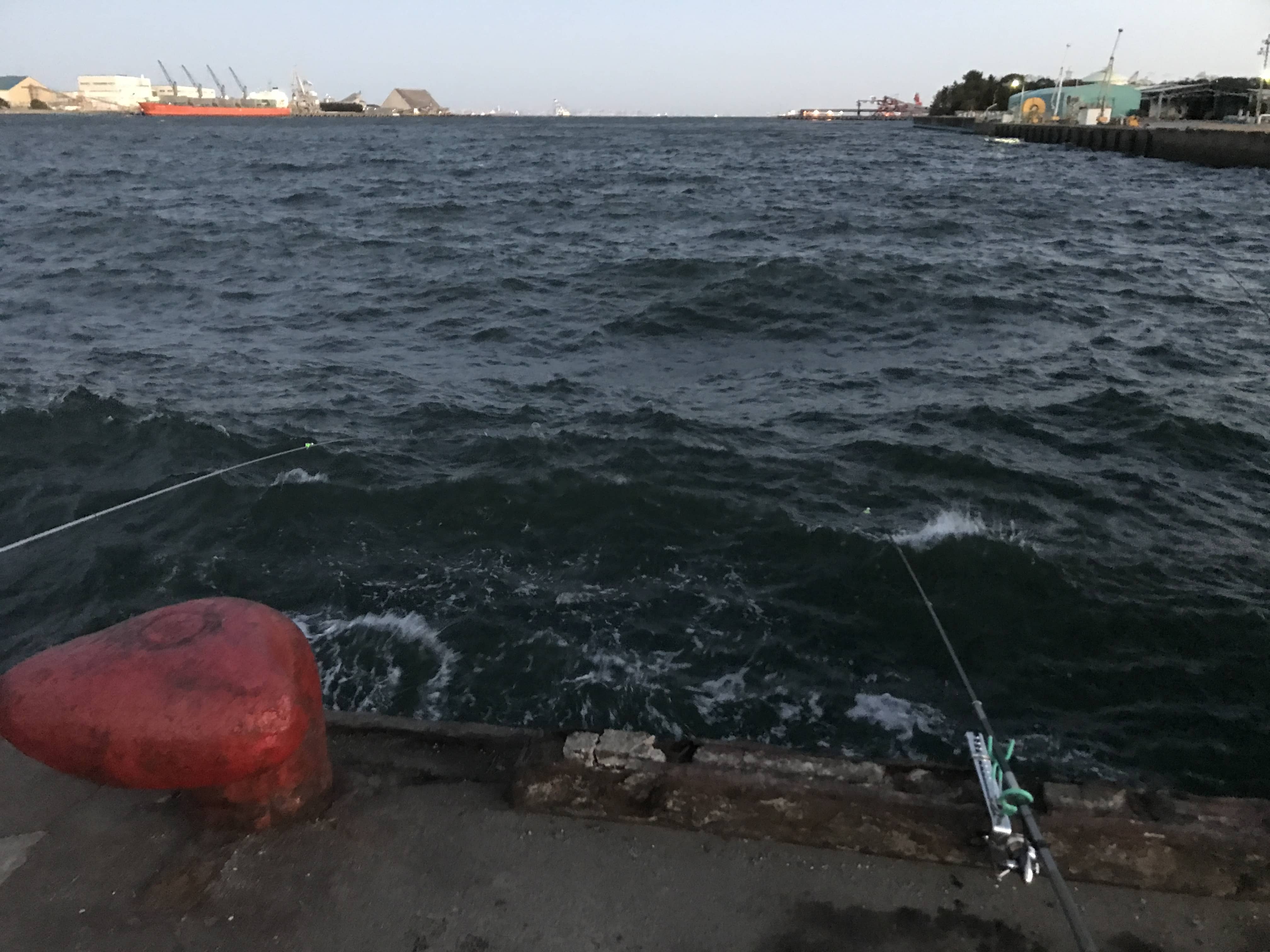 袖ヶ浦 五目釣り なんとなく日々徒然と