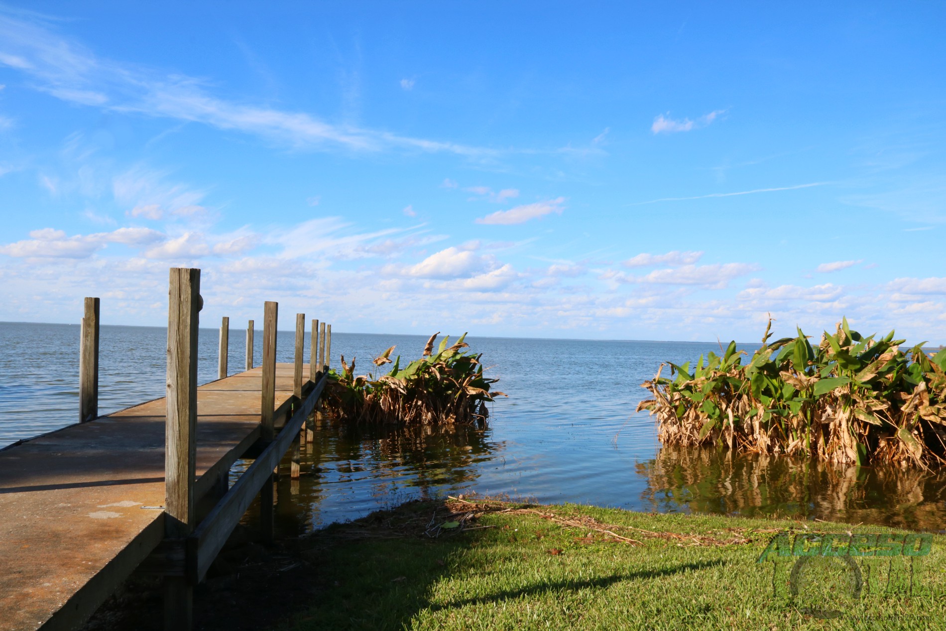 Winter Garden, FL - Wanderer Yoss