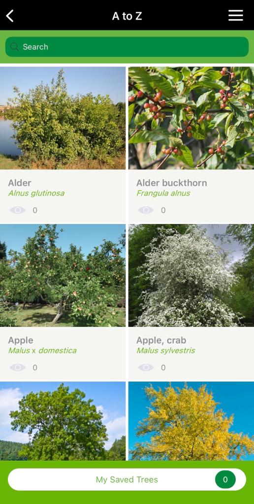 4 great tree identification apps (tried & tested) You Well