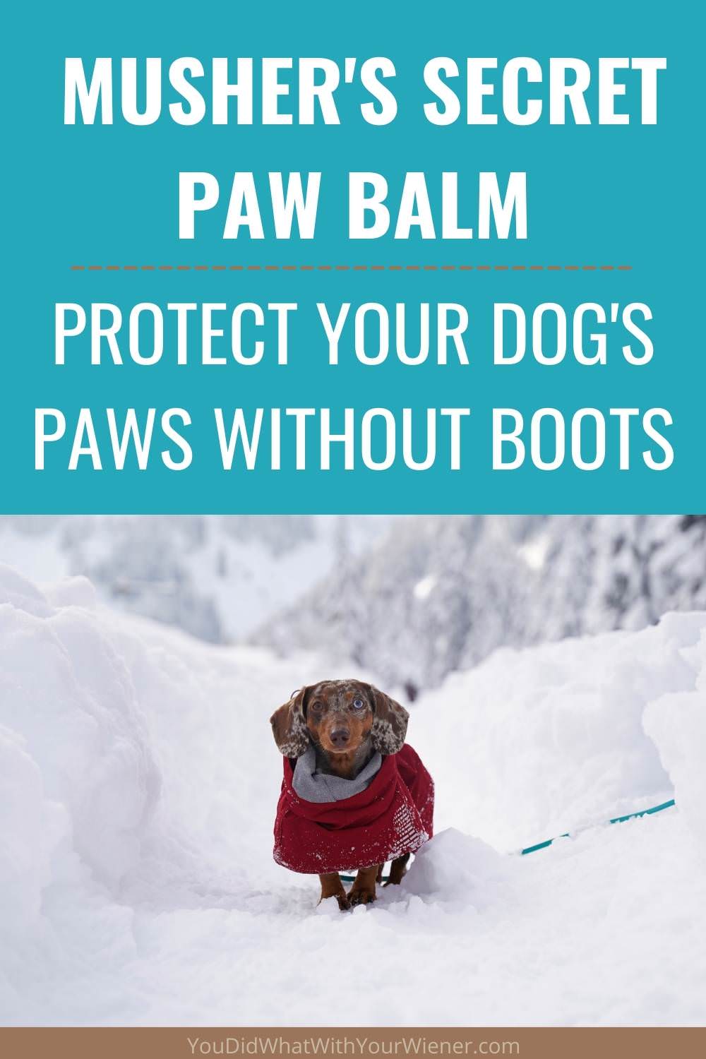 Musher’s Secret Dog Paw Wax Bootless Boots for Your Dog