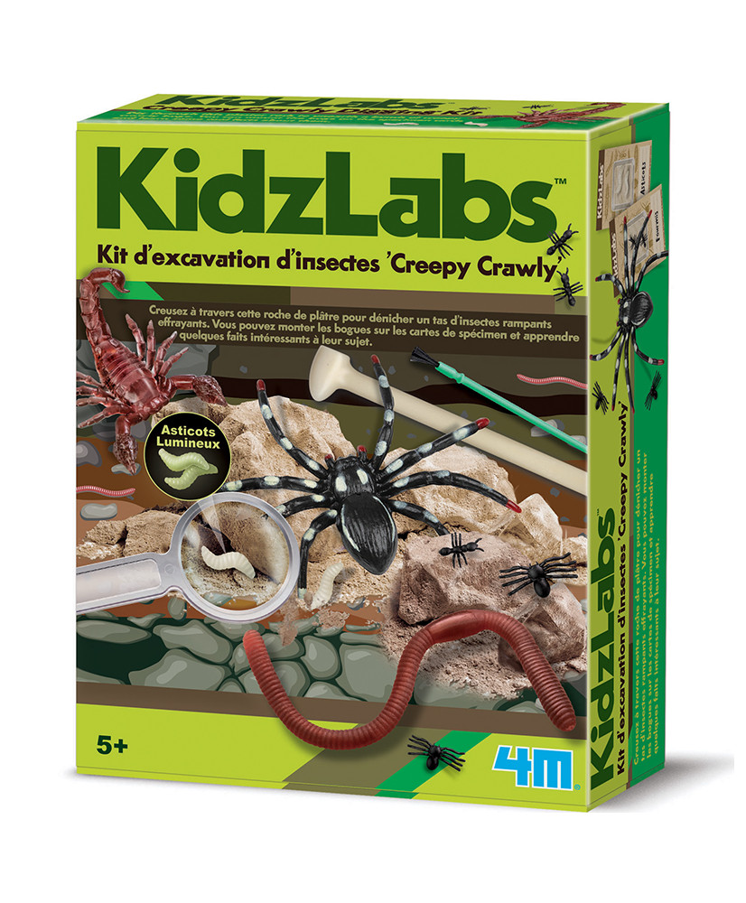 Science Discovery Kit Insects digging
