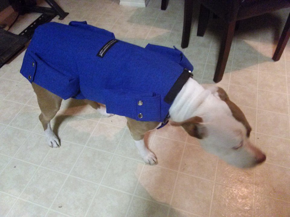 The New and HighPerformance Weighted Animal Vest You Doo Pets