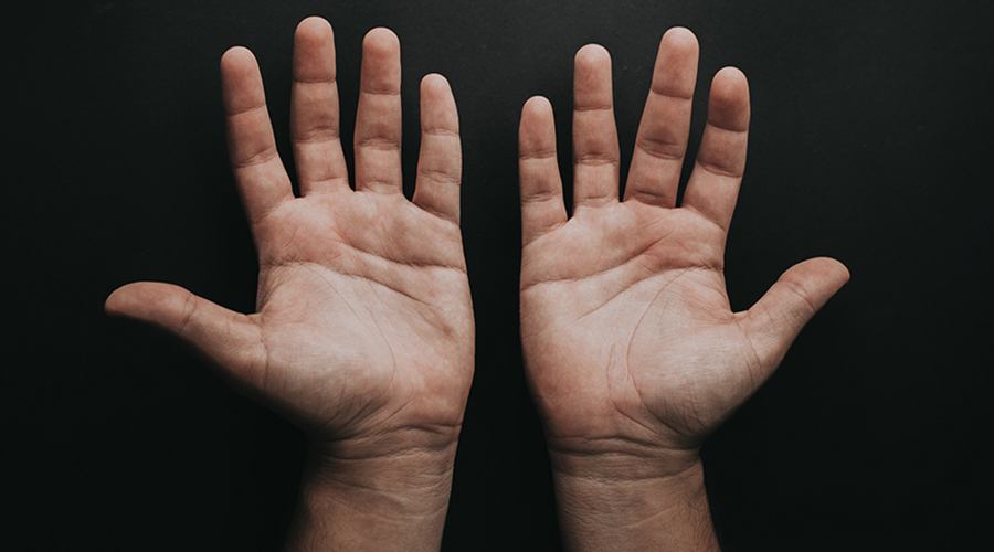 Creation Fun Facts Human Body