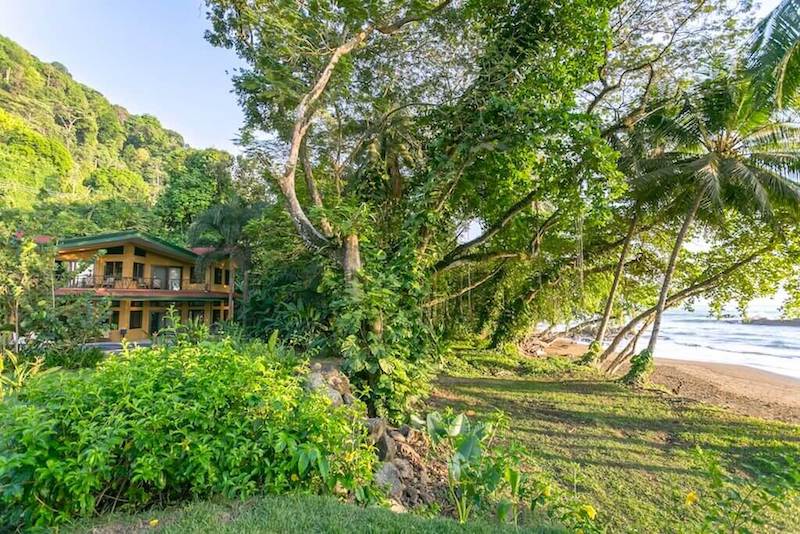 Imagining a Bluebird Morning in Sunny Dominical