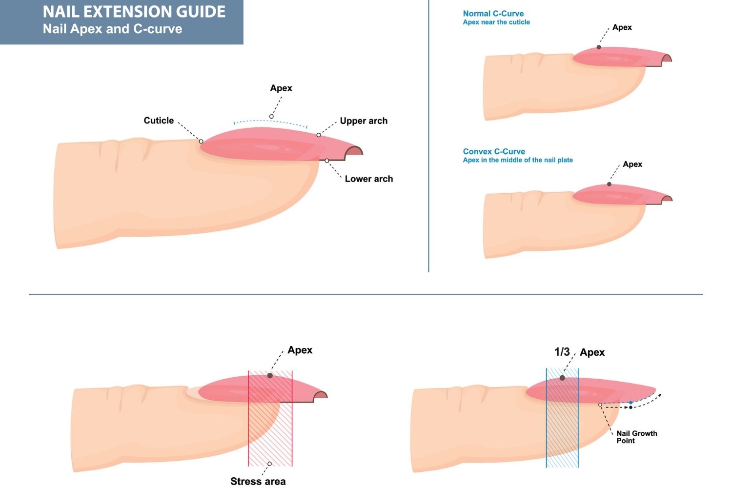 Acrylic Nails at Home Beginners Guide (StepbyStep)