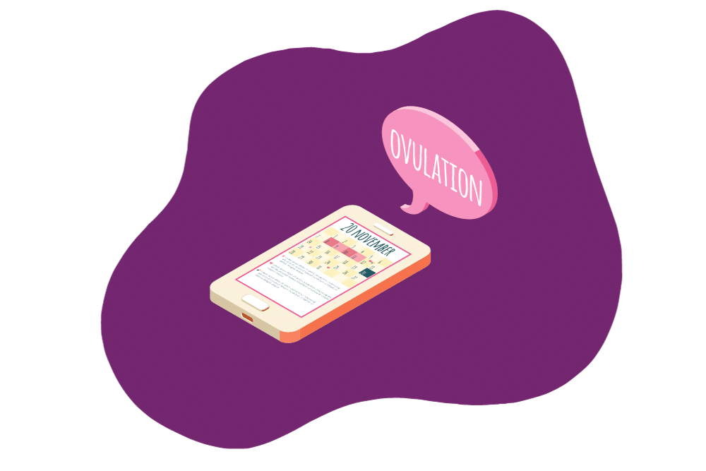 Navigating Your Cycle When Are You Most Fertile? Youly