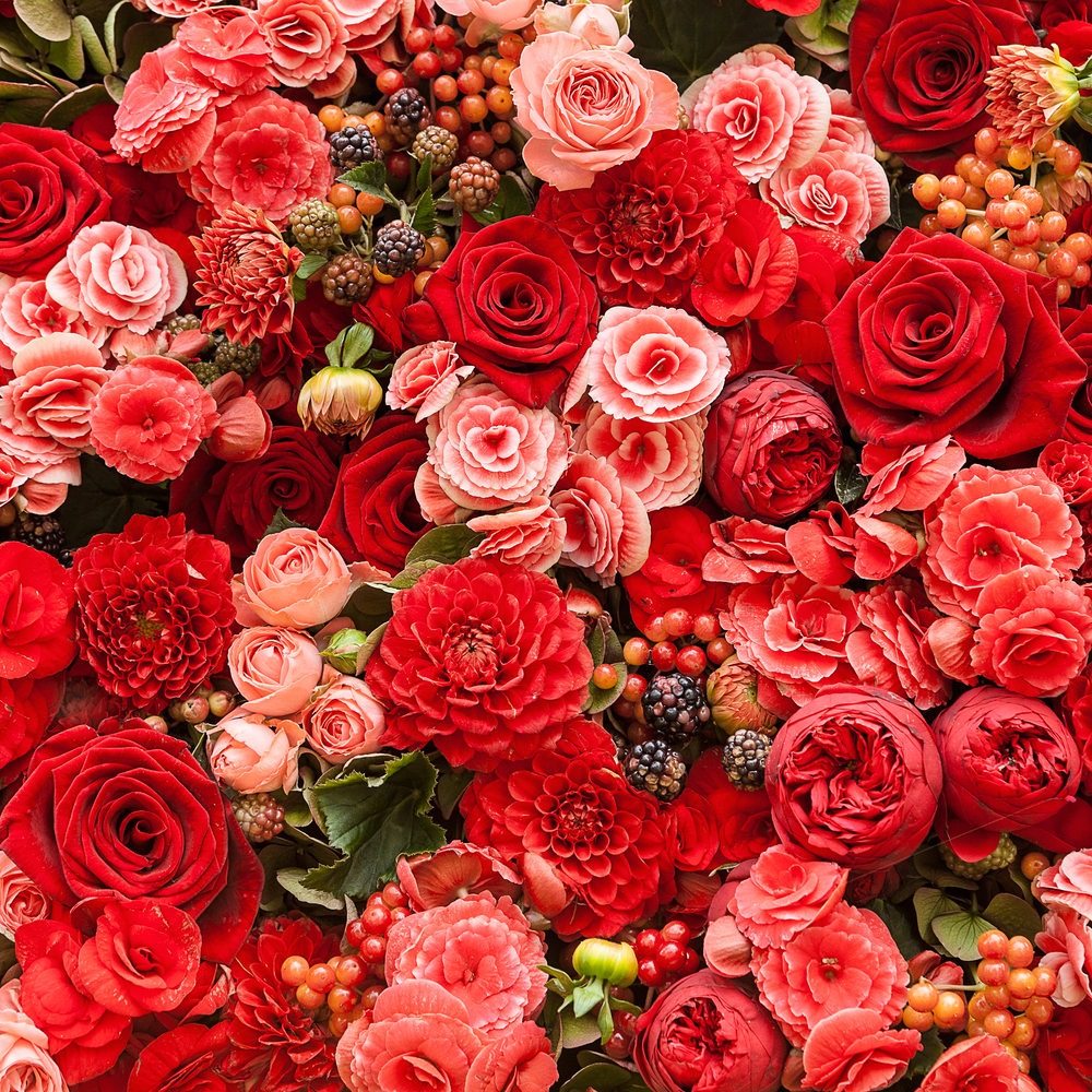 55 Stunning And Most Beautiful Red Flowers You haven't seen Before