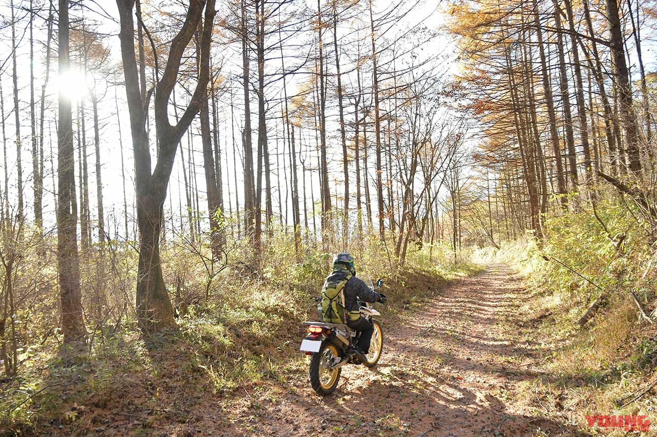 ガチンコバイク女子・コイの「野駆け・ぐるり林道はしごルート」榛名編 WEBヤングマシン｜最新バイク情報