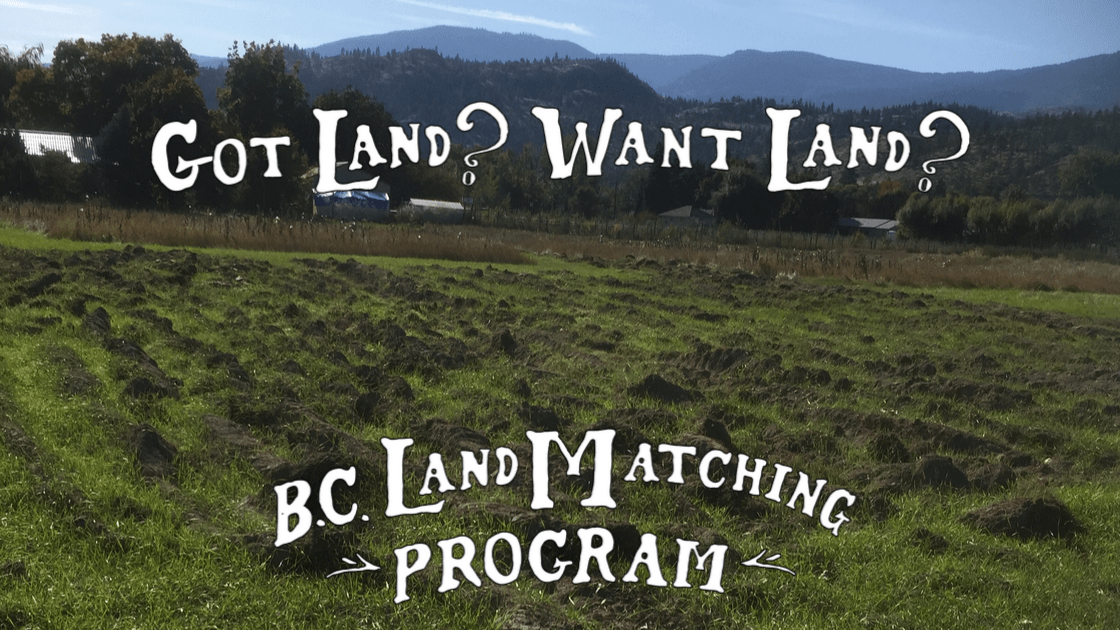 LAND OPPORTUNITY Permaculture Farm in Oliver, BC Young Agrarians