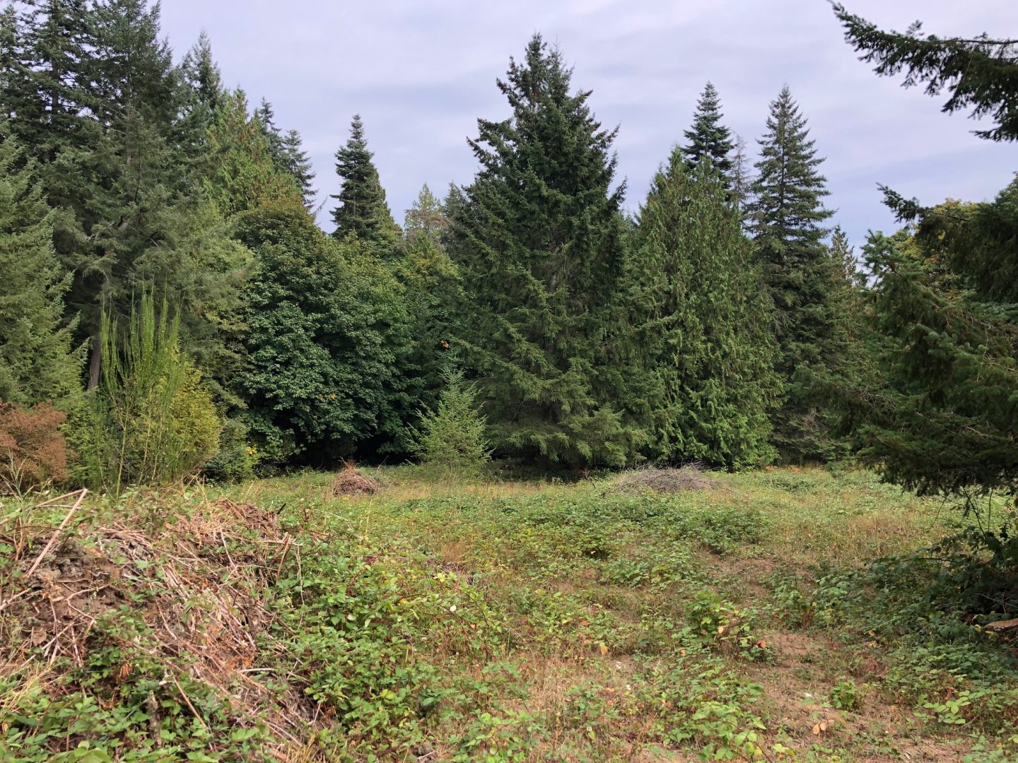 FILLED LAND OPPORTUNITY 2+ Acres of Undeveloped Land for Farm Use