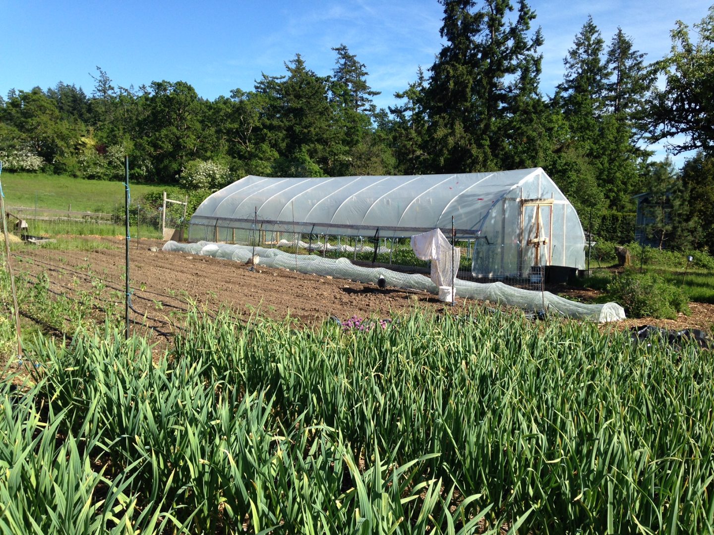 FARM JOB VICTORIA, BC City’s Edge Farm, Farm Crew