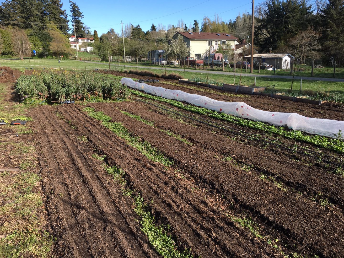 FARM JOB VICTORIA, BC City’s Edge Farm, Farm Crew