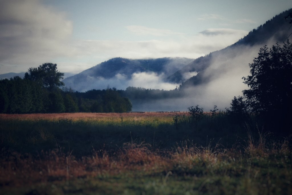 FARM JOB Grand Forks, BC Fairfield, Farm Hand Young Agrarians