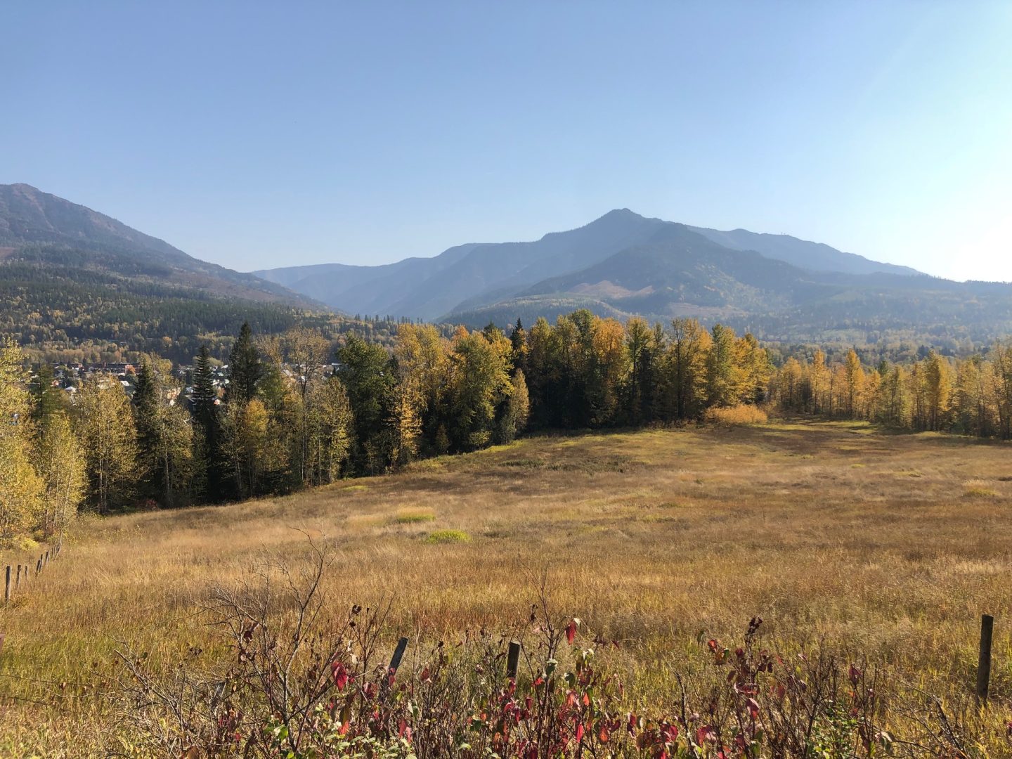 LAND OPPORTUNITY Land for market garden/haying in Fernie