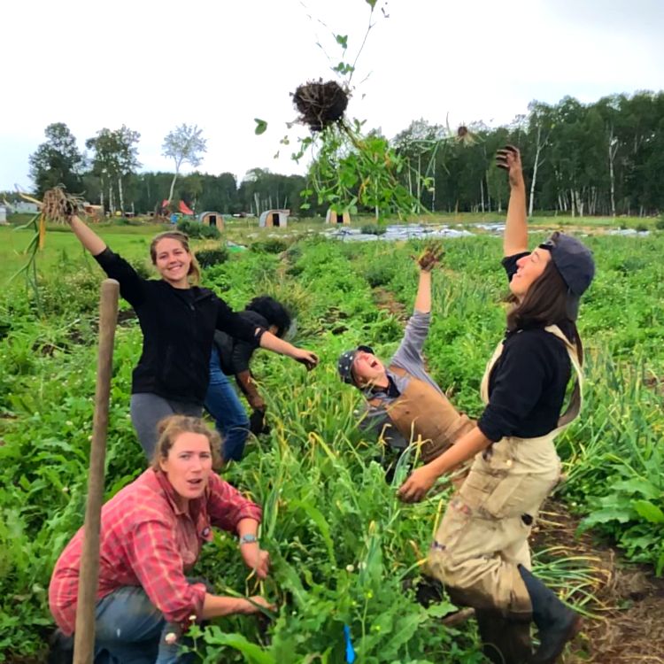 YA Apprenticeship 2024 Goodfare, AB The Homestead Young Agrarians