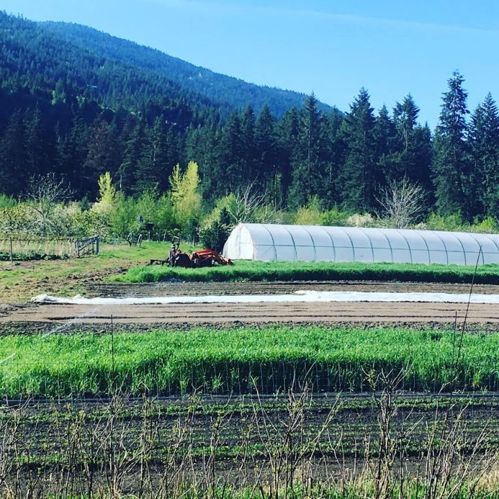 FARM JOB Armstrong & Vernon, British Columbia Pilgrims' Produce