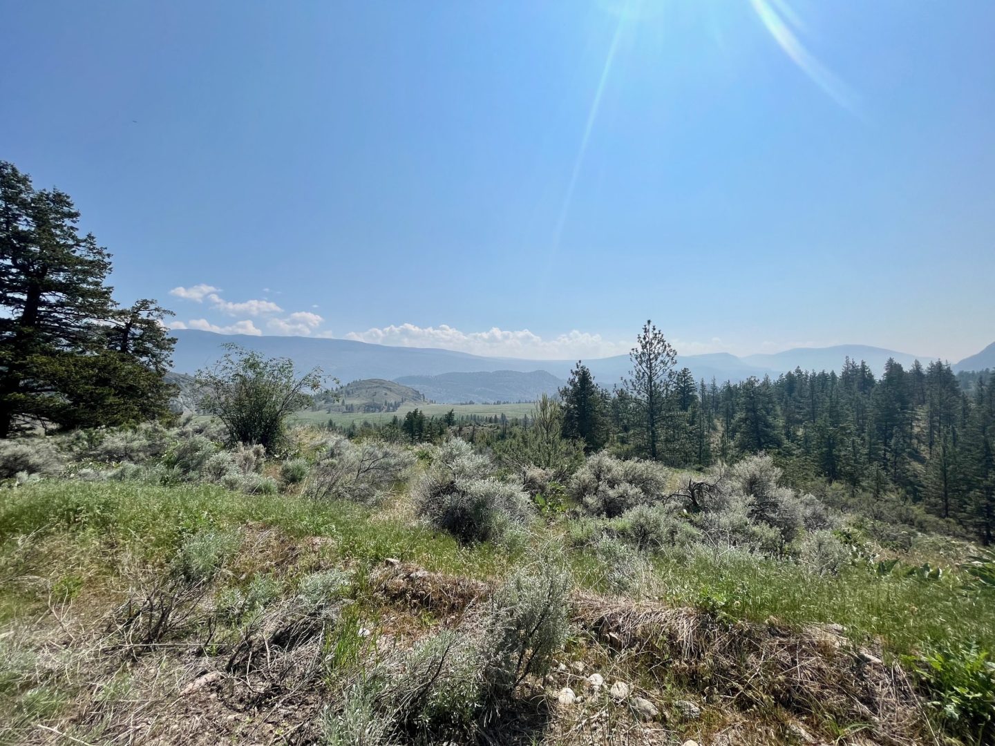 LAND OPPORTUNITY 10 Acres near Penticton for farming community