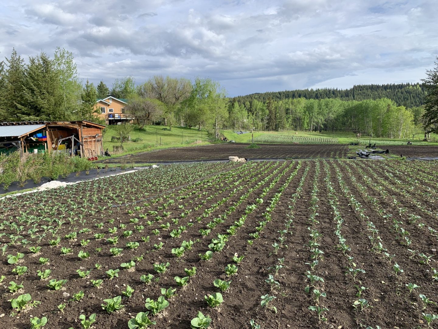 FARM JOB 100 Mile House, British Columbia Big Rock Ranch, Farm Hands