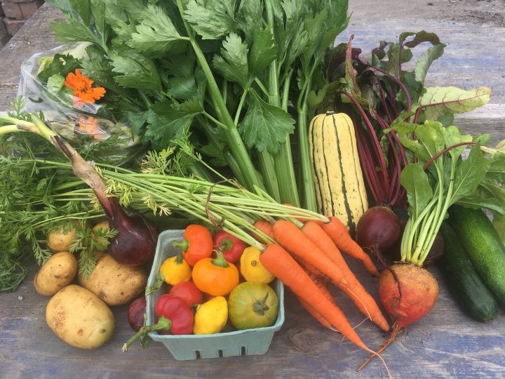 FILLED FARM JOB Agassiz, BC Earthwise Farm, Community Farm and