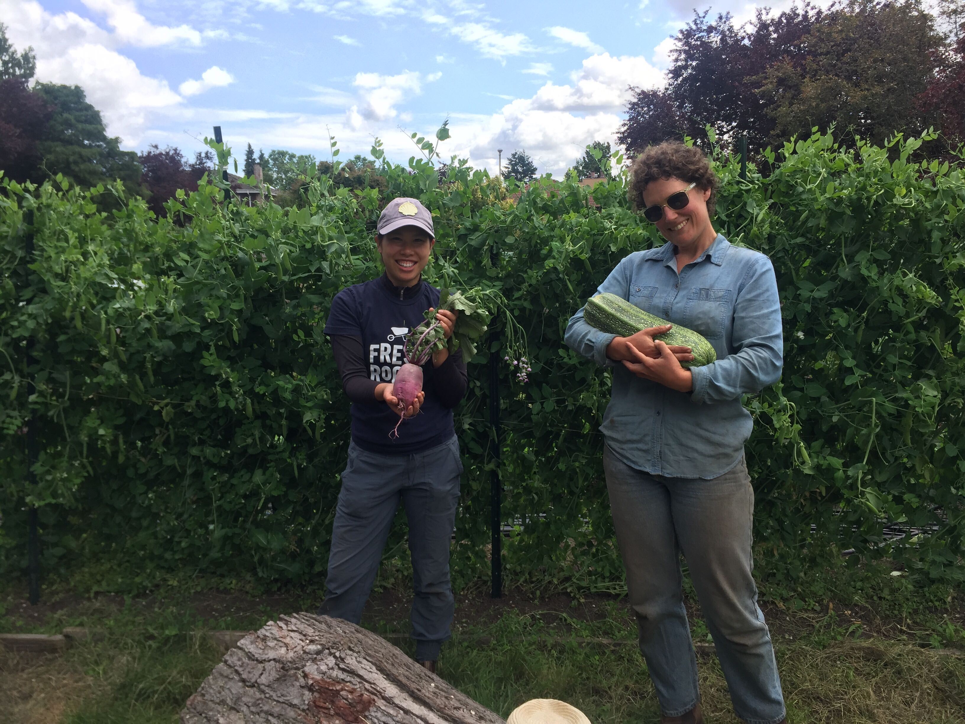 FARM JOB Vancouver, BC Fresh Roots Urban Farm Society, Good Food