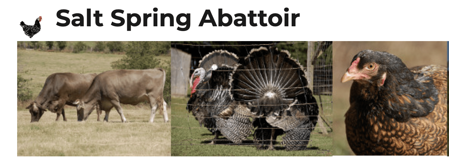 FARM JOB Salt Spring Island, BC Salt Spring Abattoir Young Agrarians