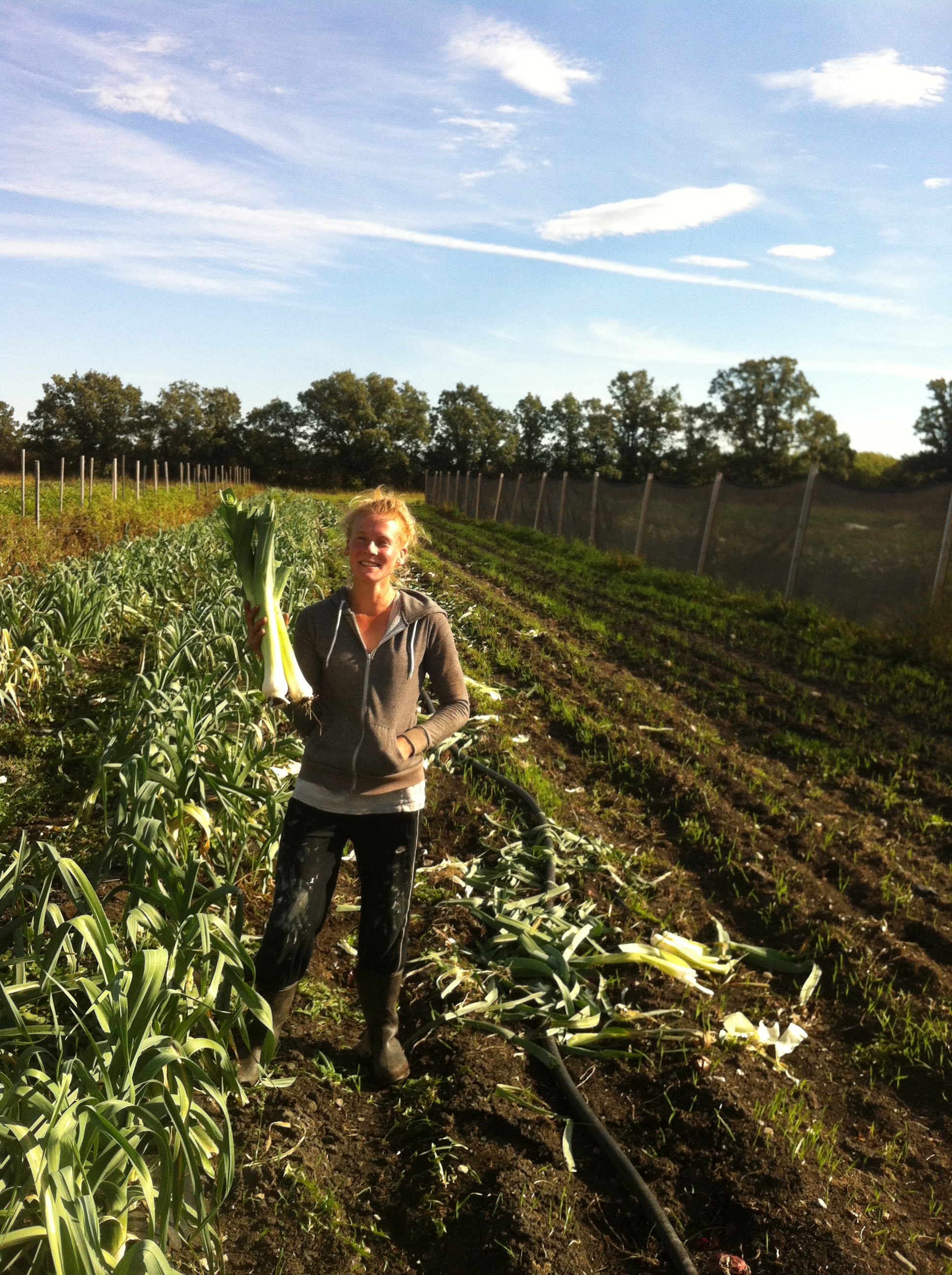 FARM JOBS Winnipeg, MB Jonathan's Farm, Market Gardeners & Field and