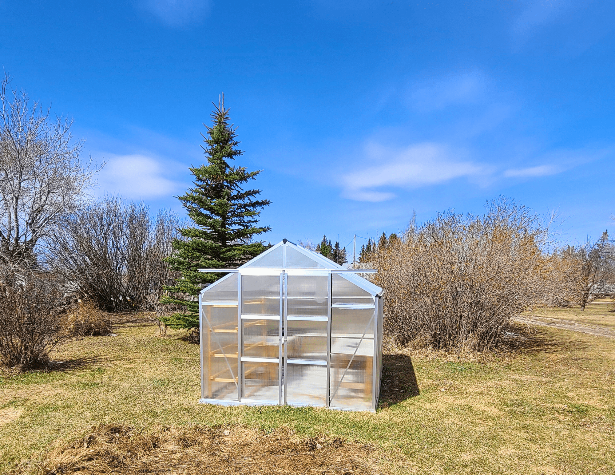 LAND OPPORTUNITY Two acre plot, family home, and market garden for