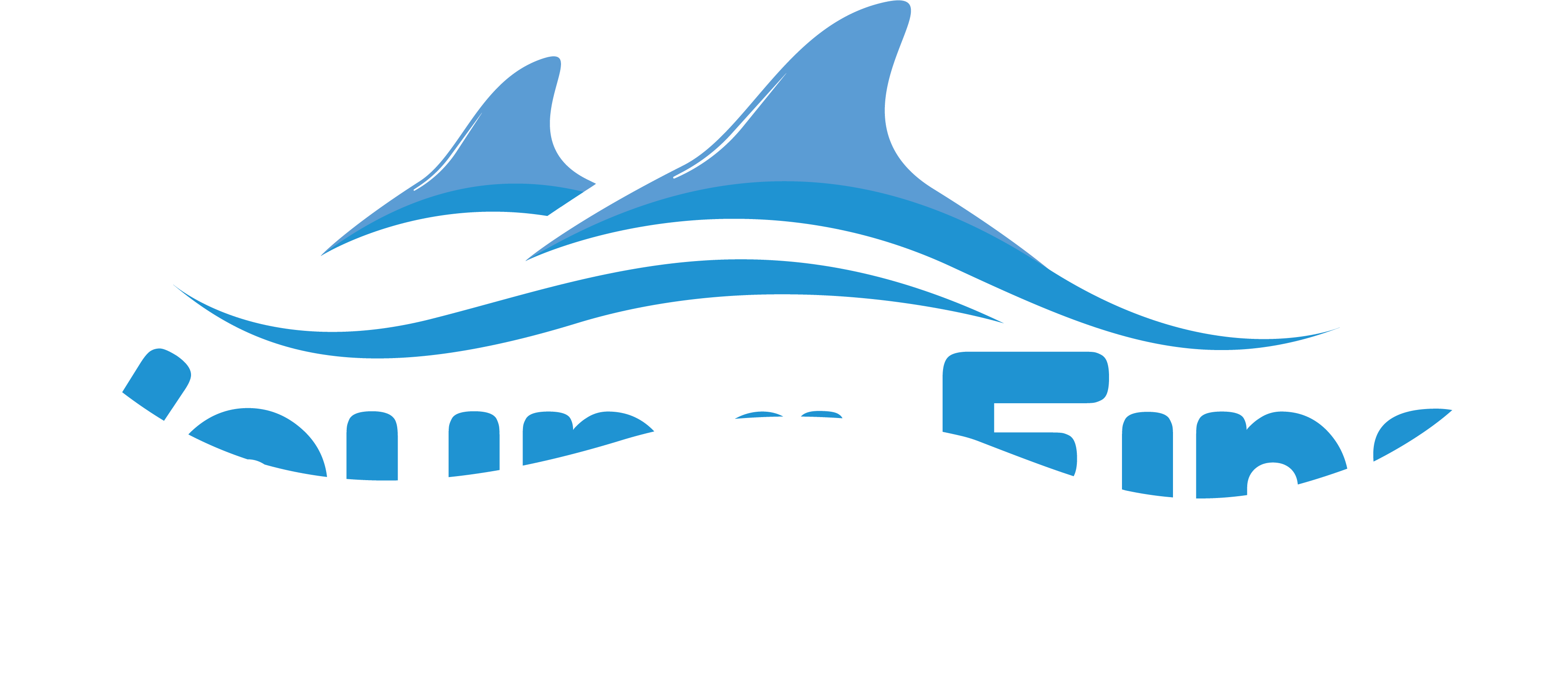 Bookings Young Fins Swimming