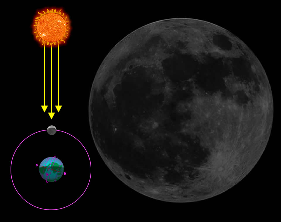 Our Solar System The Phases of the Moon