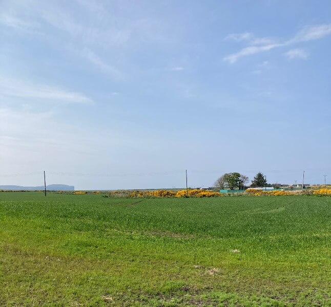 Plot at Burn of Rattar, Caithness Young Robertson