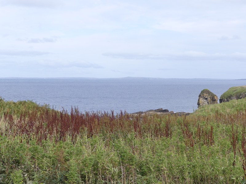New Build, Brough, Thurso Young Robertson