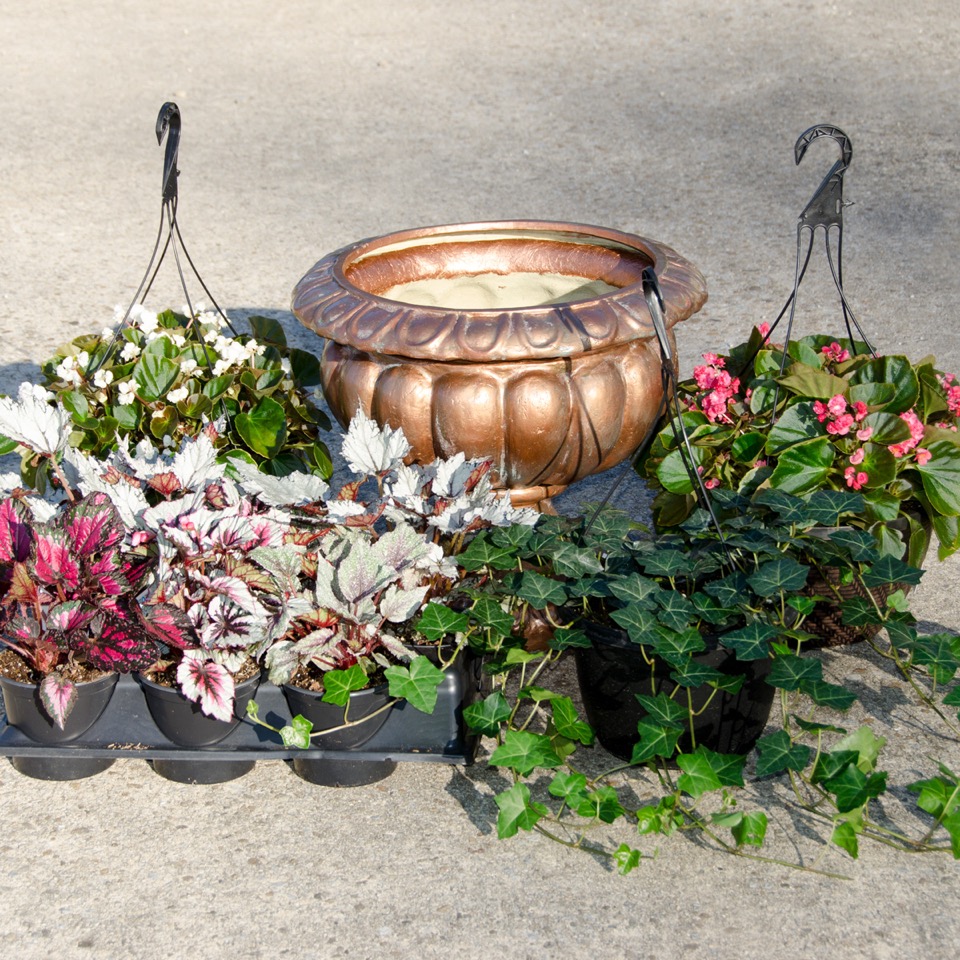 Faux Copper Planter Do It Yourself Young's Plant Farm