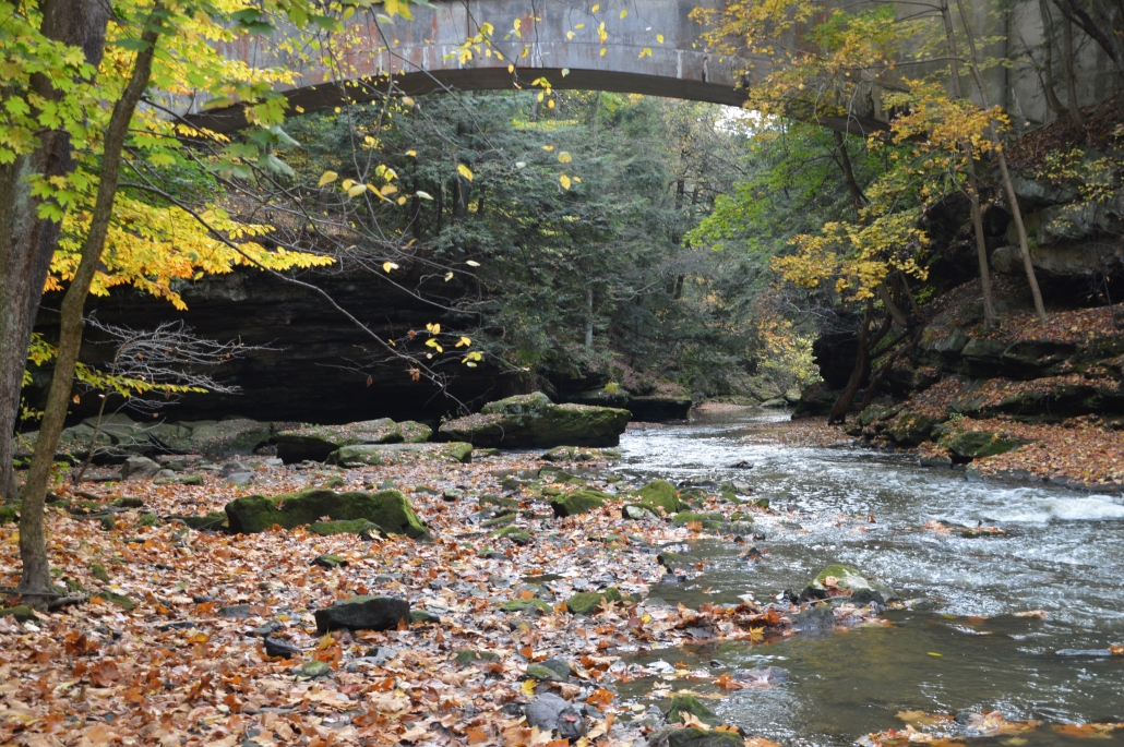 Mill Creek MetroParks Youngstown Live