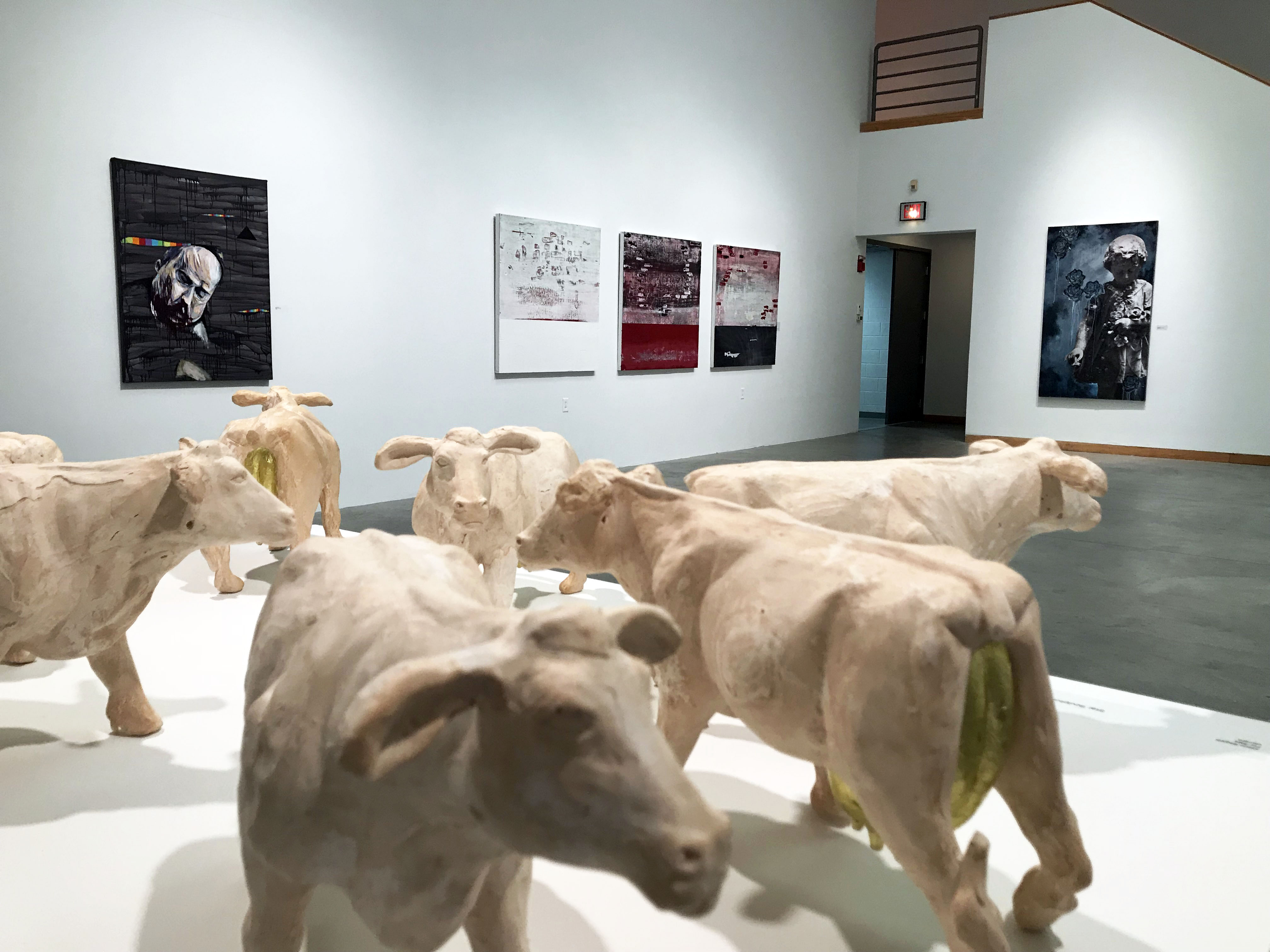 McDonough Museum of Art Youngstown Live