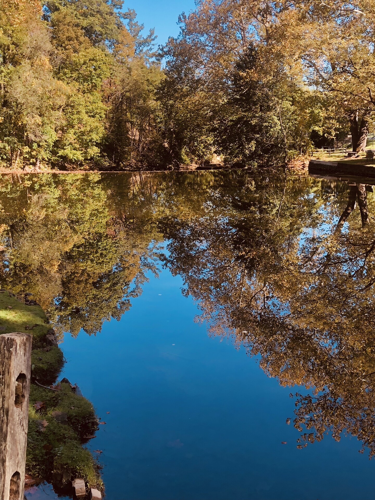 Yellow Creek Park Ohio at Philip Lane blog