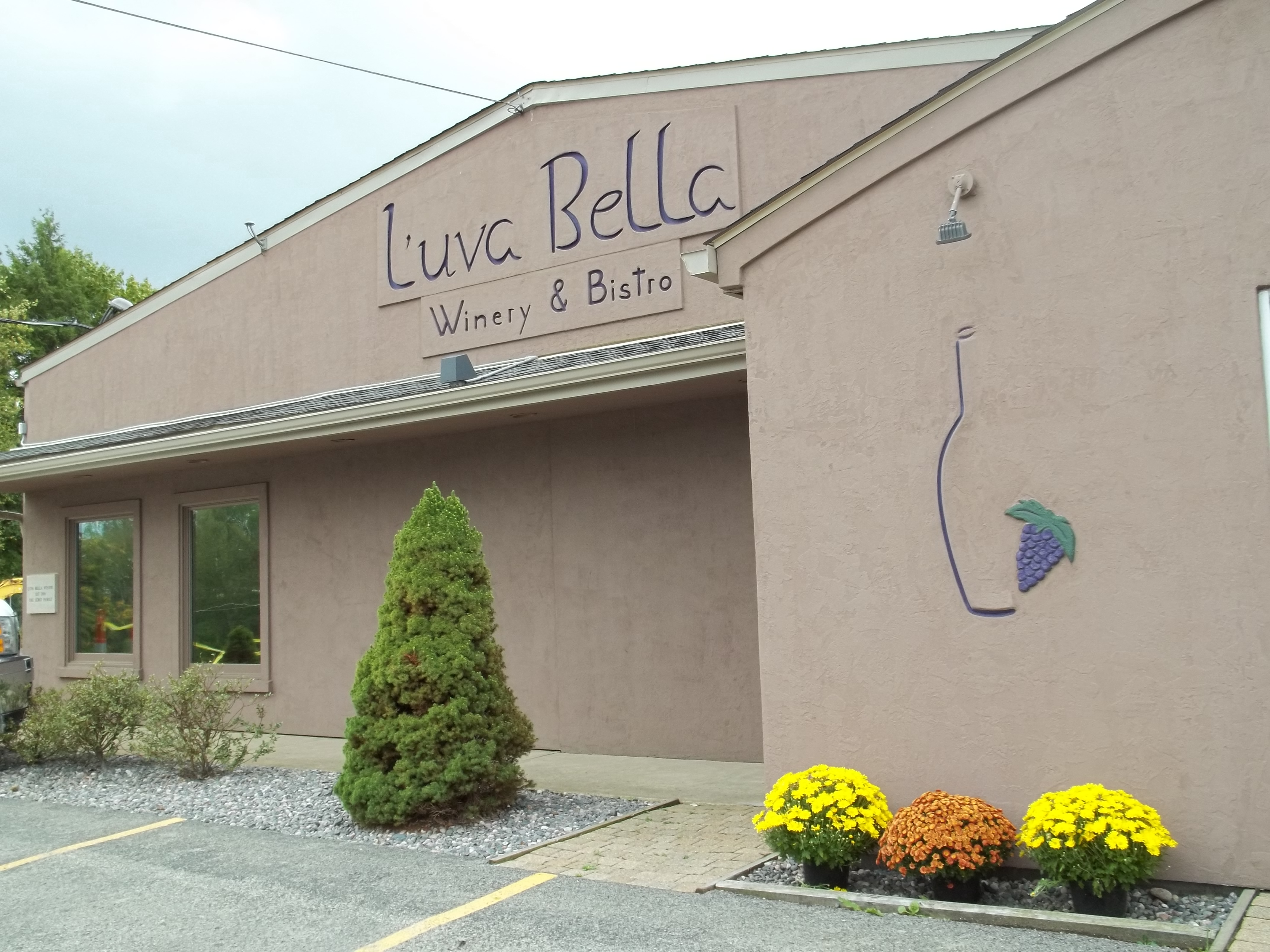 L'uva Bella Winery & Bistro Youngstown Live
