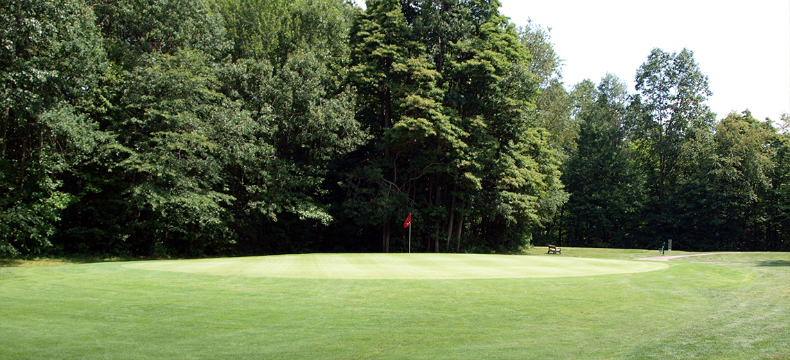 Bedford Trails Golf Course Youngstown Live