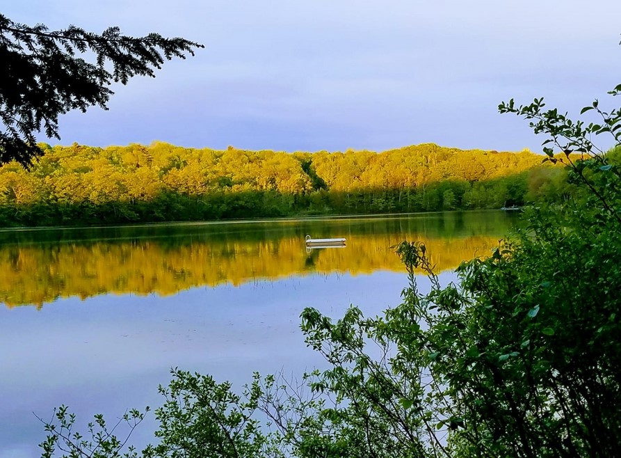 Our Area Young Town Inn