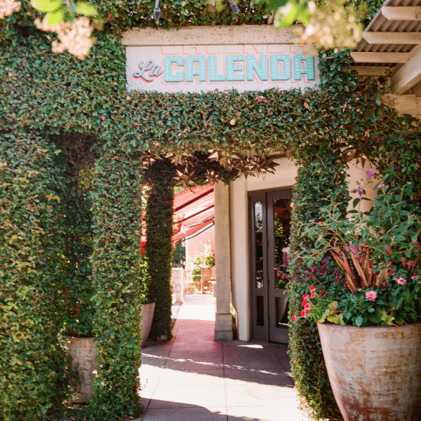 Dog Friendly Restaurants in Yountville Yountville