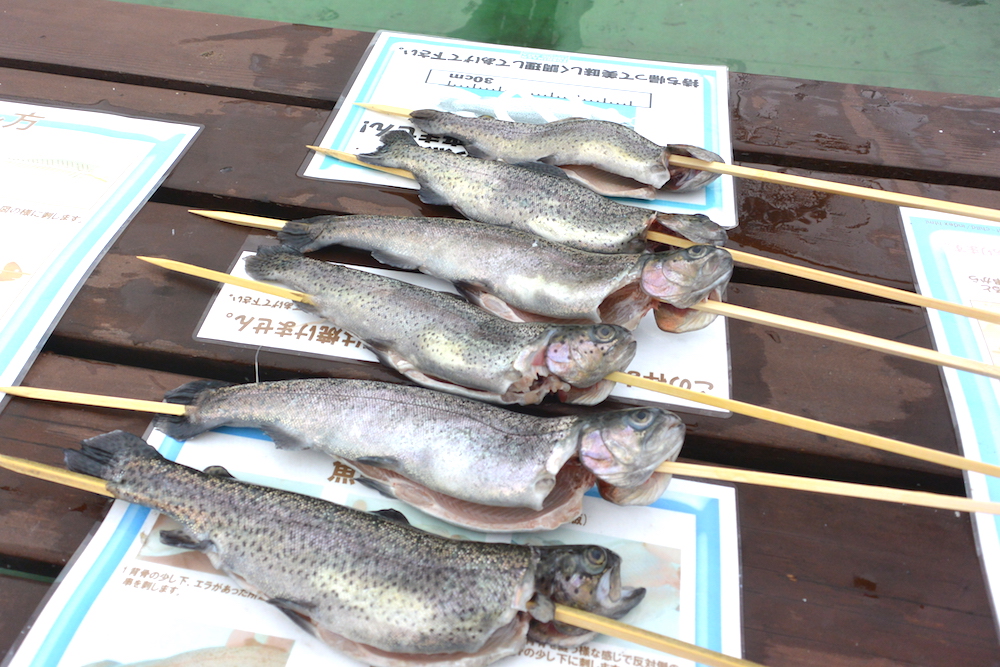 としまえんの屋外プールは冬でも最高に楽しい！ 釣り初心者が楽しめる “釣り堀” として営業中なのです