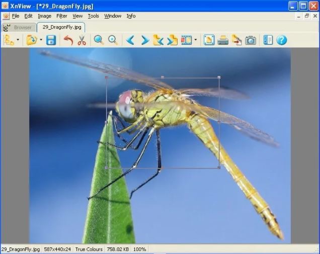 10 Best Photo Viewer For Windows, Mac and Linux