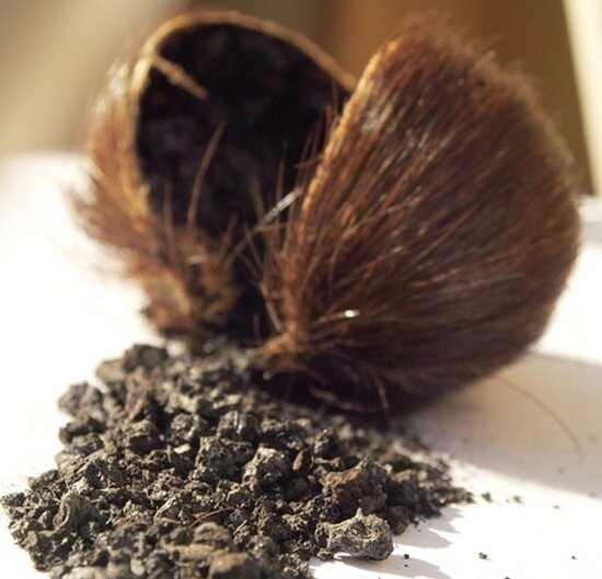 Perfumes by Note Musk Your Perfume Guide