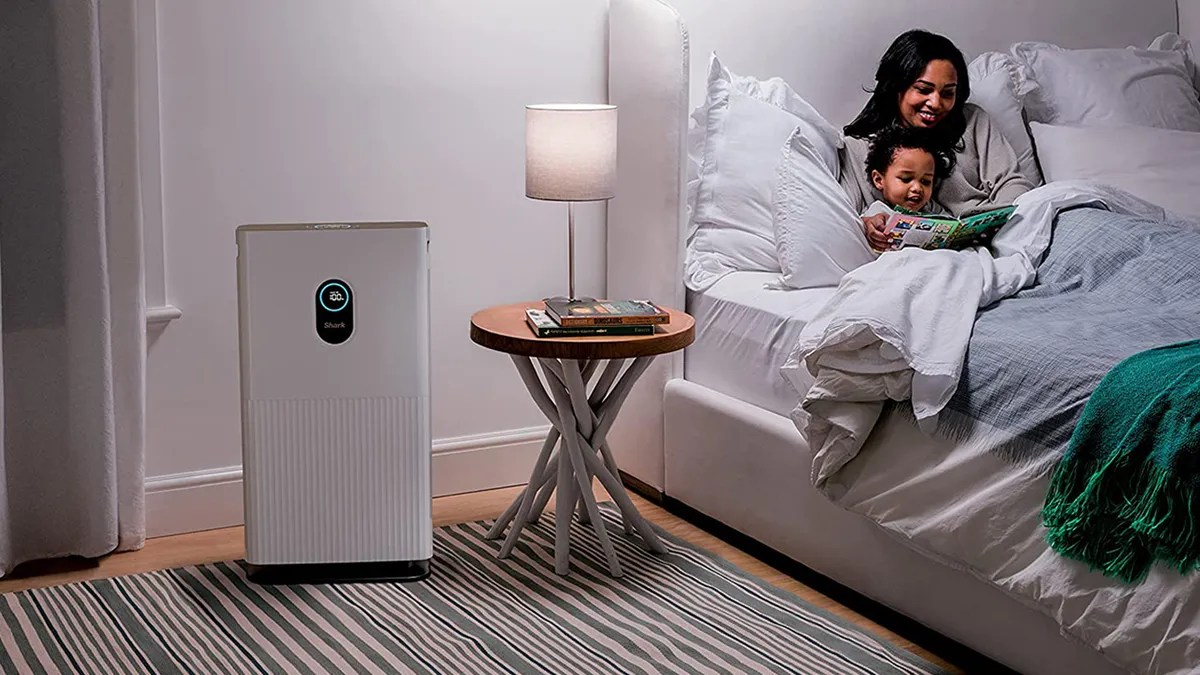 Where Is the Best Place to Put an Air Purifier? Your Art Pages
