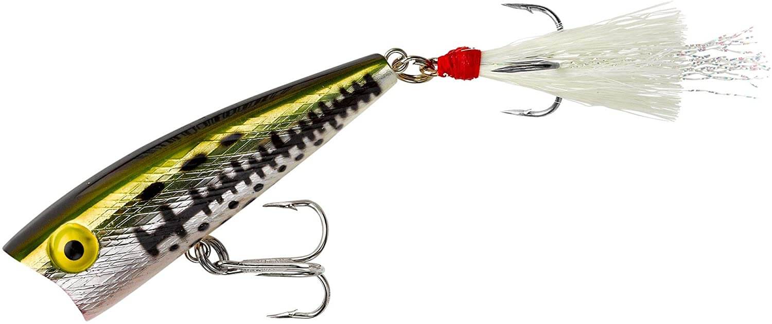5 Best Bass Poppers Popper Lures For Bass Your Bass Guy