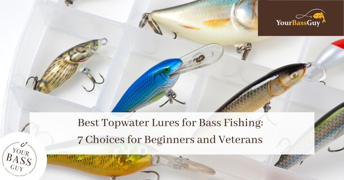 7 Best Topwater Lures For Bass 2021 Angler’s Pro Guide