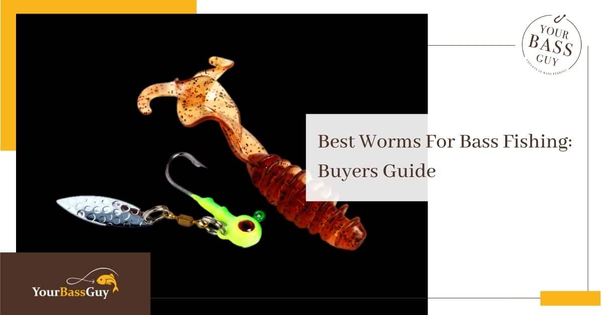 The 5 Best Worms For Bass Fishing In 2021 Your Bass Guy