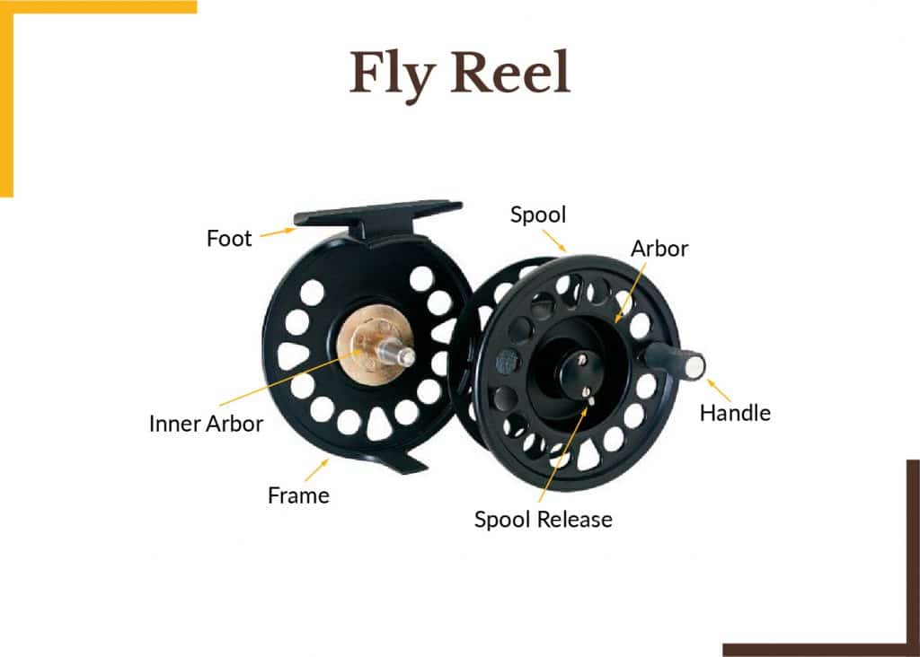 Five Types Of Fishing Reels Detailed Break Down Of Each