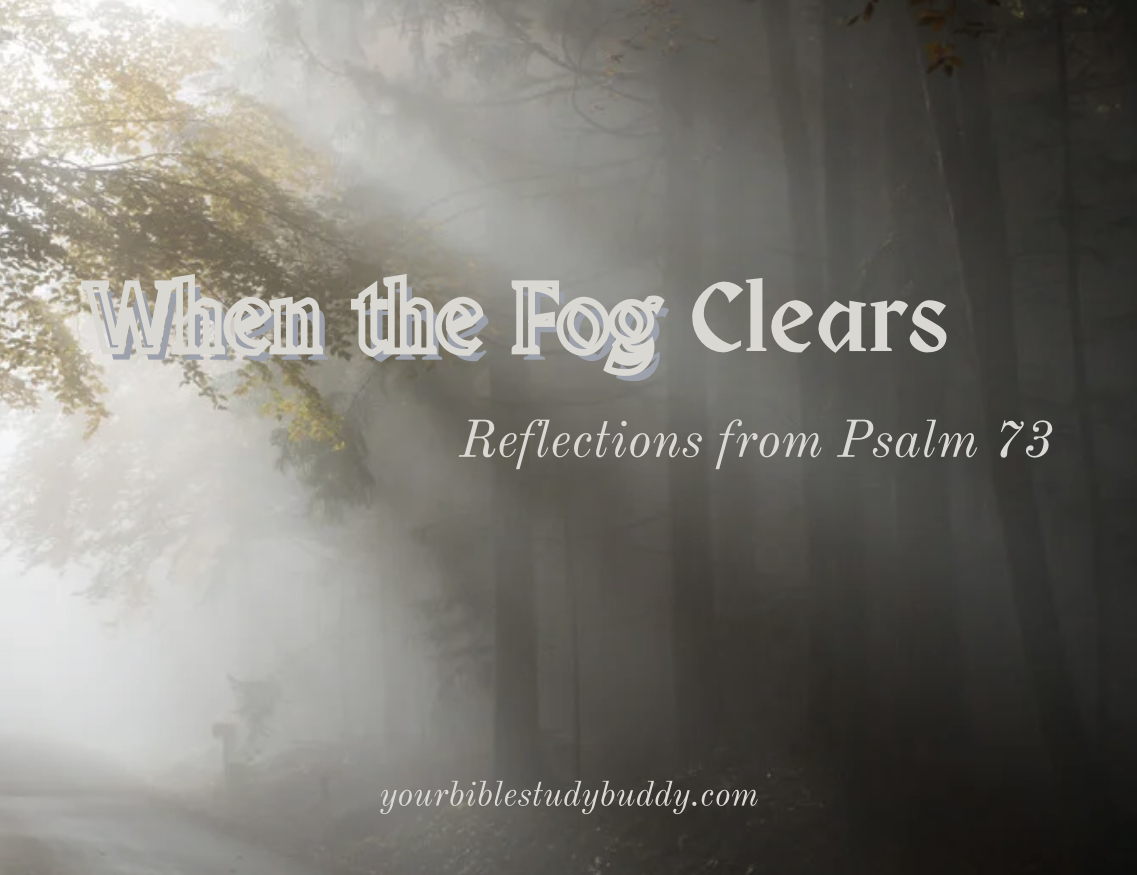 When the Fog Clears Your Bible Study Buddy